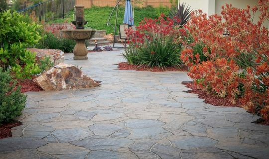 low-maintenance-and-low-water-landscape-design