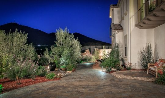 low-maintenance-landscape-design-san-diego