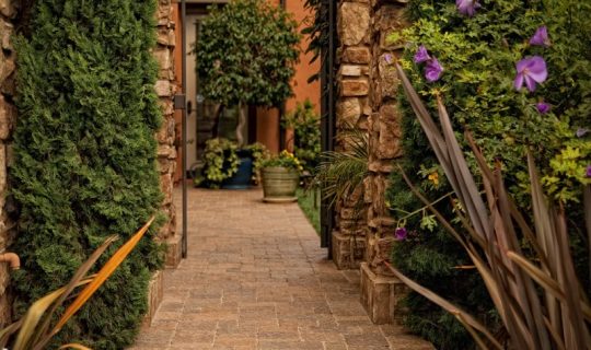paver-walkway-&-landscape