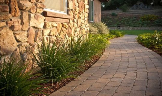 Walkway Paver Contractors 13