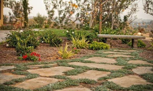 Walkway Paver Contractors 15