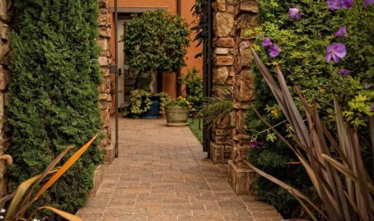 Walkway Paver Contractors 19