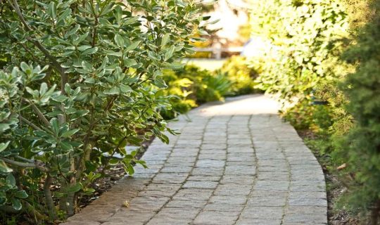 Walkway Paver Contractors 3